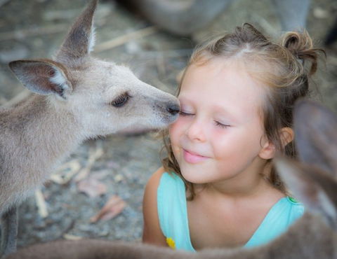 Wildlife Habitat - Accommodation Melbourne 2