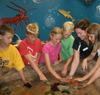 Naturaliste Marine Discovery Centre - Accommodation Melbourne