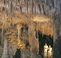 Mammoth Cave - Accommodation Melbourne
