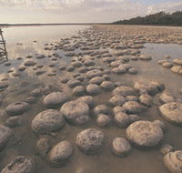 Lake Clifton Thrombolites - Accommodation Melbourne