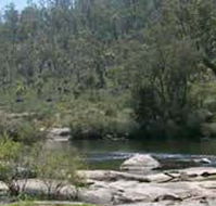 Wellington Discovery Forest - Accommodation Melbourne