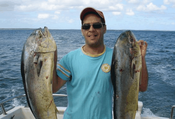 Jervis Bay Fishing and Charters - Accommodation Melbourne