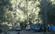 Scenic Rim Adventure Park - thumb 3