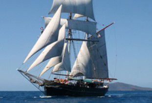 Australian Tallship Cruises - Accommodation Melbourne 0