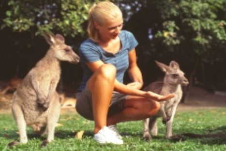 Jungle Tours And Trekking - Accommodation Melbourne 1