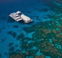Great Adventures Reef and Green Island Cruises - Accommodation Melbourne