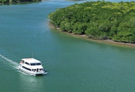 Cairns Harbour Cruises - Accommodation Melbourne 3