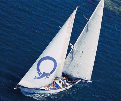 Ocean Free & Ocean Freedom - Cairns Premier Reef And Island Tours - Accommodation Melbourne 0