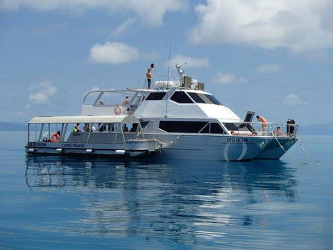Ocean Free & Ocean Freedom - Cairns Premier Reef And Island Tours - Accommodation Melbourne 1