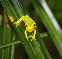 Daintree River Cruise Centre - Accommodation Melbourne