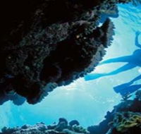 Deep Sea Divers Den - Accommodation Melbourne