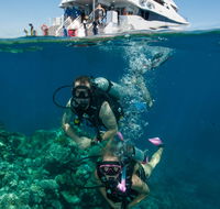Down Under Cruise and Dive - Accommodation Melbourne