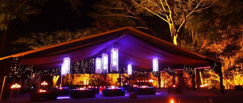 Flames Of The Forest - Accommodation Melbourne 0
