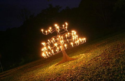 Flames Of The Forest - Accommodation Melbourne 4