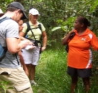 Ingan Tours - Spirit of the Rainforest Tour - Accommodation Melbourne