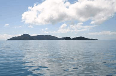 Whitehaven Xpress Whitehaven Beach Tours - Accommodation Melbourne 2