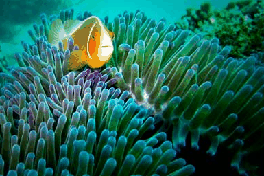 Whitehaven Xpress Whitehaven Beach Tours - Accommodation Melbourne 3