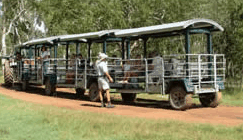 Whitsunday Crocodile Safari - thumb 2