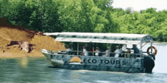 Whitsunday Crocodile Safari - Accommodation Melbourne 3