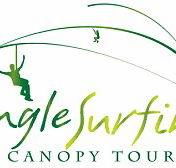 Jungle Surfing Canopy Tours and Jungle Adventures Nightwalks - Accommodation Melbourne