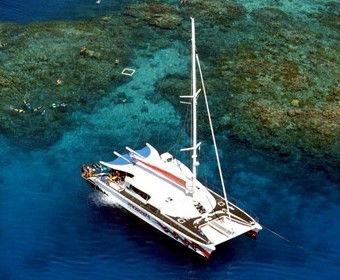 Yardarm Pty Ltd T/a Passions Of Paradise - Accommodation Melbourne 2