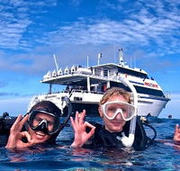 Pro Dive Cairns - Accommodation Melbourne