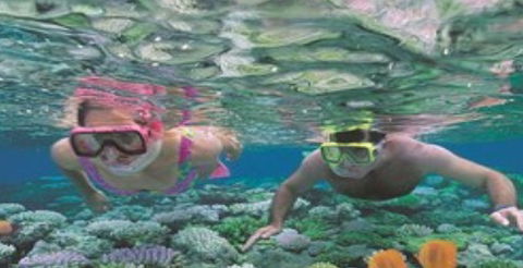 Quicksilver Cruises - Accommodation Melbourne 2