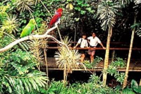 Reef And Rainforest Connections - Accommodation Melbourne 4