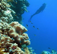 Reef Magic Cruises - Accommodation Melbourne