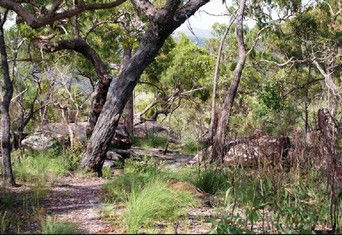 Cooktown Aboriginal Art Tours - Accommodation Melbourne 2