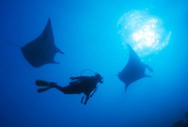 Adrenalin Snorkel And Dive - Accommodation Melbourne 1