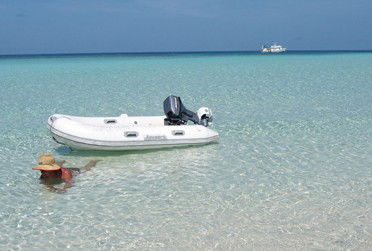 Adrenalin Snorkel And Dive - Accommodation Melbourne 4