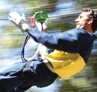 Adventure Parc - Accommodation Melbourne