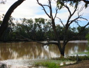 Allan Tannock Weir - Accommodation Melbourne 2