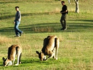 Southern Queensland Country QLD Accommodation Melbourne