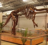 Australia's Dinosaur Trail - Accommodation Melbourne