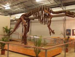 Australia's Dinosaur Trail - Accommodation Melbourne 0