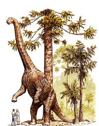 Australian Age Of Dinosaurs - Accommodation Melbourne 2