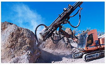 Australian Age Of Dinosaurs - Accommodation Melbourne 3
