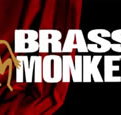 The Brass Monkey - Accommodation Melbourne