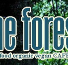 Forest Cafe  Bar - Accommodation Melbourne