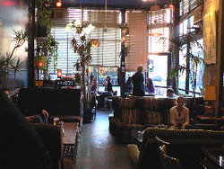 Blackcat - Accommodation Melbourne 1