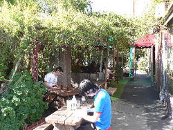 Blackcat - Accommodation Melbourne 3