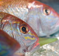 Coro Hotel - Lure Seafood Restaurant - Accommodation Melbourne