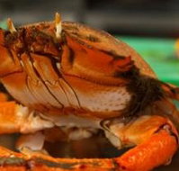 River Cottage Restaurant - Accommodation Melbourne