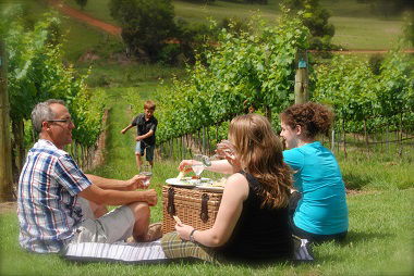 Oceanview Estate Winery / Restaurant - Accommodation Melbourne 7