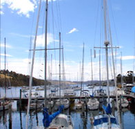Oyster Cove Inn - Accommodation Melbourne