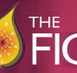 Pickled Fig - Melbourne 4u