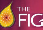 Pickled Fig - Melbourne 4u 0