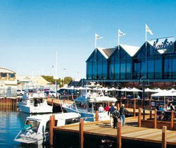 Kailis Fish Market Cafe - Melbourne 4u 0